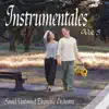 Sound Unlimited Electronic Orchestra - Instrumentales, Vol. 5